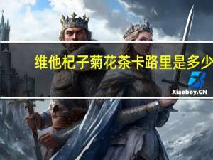 维他 杞子菊花茶卡路里是多少