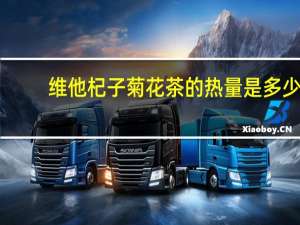 维他 杞子菊花茶的热量是多少