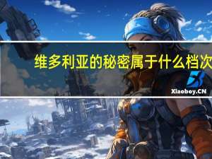 维多利亚的秘密属于什么档次