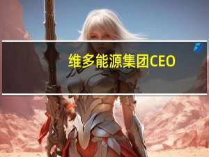 维多能源集团CEO：未来几年液化天然气燃料供应将有巨大增长将吸引不同的买家进入市场