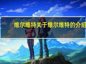 维尔维特 关于维尔维特的介绍