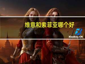 维意和索菲亚哪个好