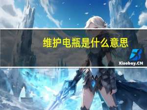 维护电瓶是什么意思