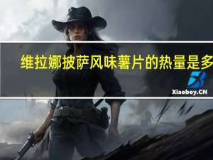 维拉娜 披萨风味薯片的热量是多少