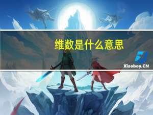 维数是什么意思