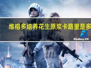 维榕 多焙养花生原浆卡路里是多少