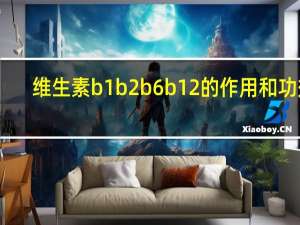 维生素b1b2b6b12的作用和功效（b12的作用和功效）