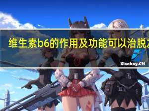 维生素b6的作用及功能可以治脱发吗（维生素b6的作用及功能）