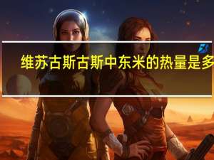 维苏 古斯古斯中东米的热量是多少