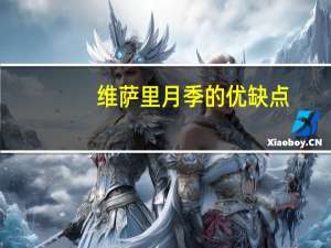 维萨里月季的优缺点