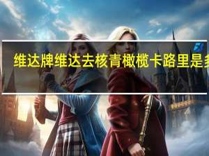 维达牌 维达去核青橄榄卡路里是多少