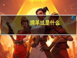 绵羊绒是什么