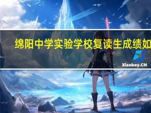 绵阳中学实验学校复读生成绩如何