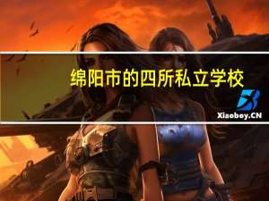 绵阳市的四所私立学校：南山双语  汉龙英才  外国语  东辰  哪所学校的初中教育质量更好