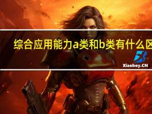 综合应用能力a类和b类有什么区别