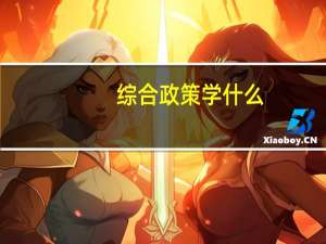 综合政策学什么