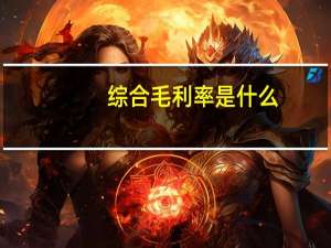 综合毛利率是什么