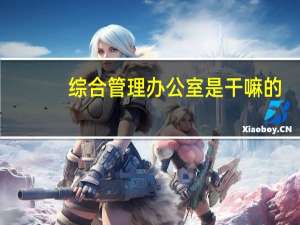 综合管理办公室是干嘛的