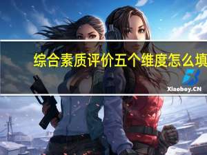 综合素质评价五个维度怎么填
