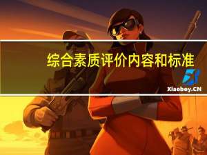 综合素质评价内容和标准