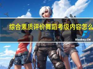 综合素质评价舞蹈考级内容怎么写