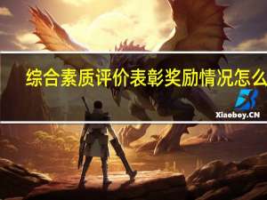 综合素质评价表彰奖励情况怎么填
