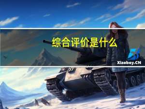 综合评价是什么