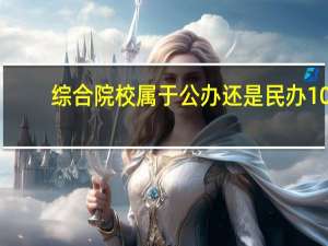 综合院校属于公办还是民办10