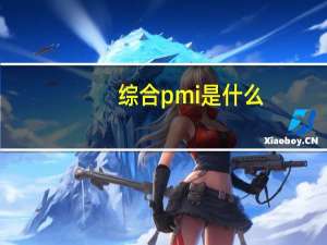 综合pmi是什么