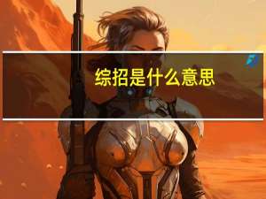 综招是什么意思