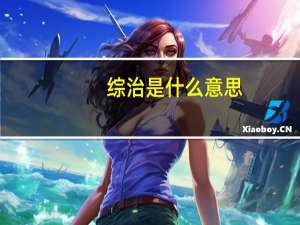综治是什么意思