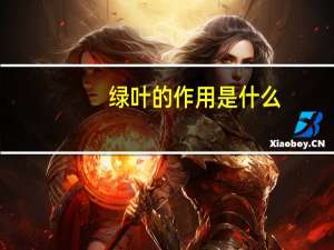 绿叶的作用是什么