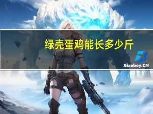 绿壳蛋鸡能长多少斤（绿壳蛋鸡多少钱一斤）