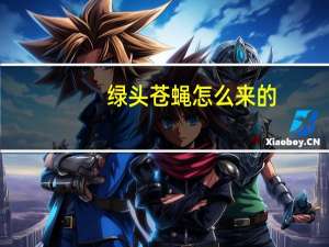 绿头苍蝇怎么来的