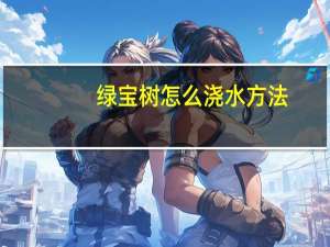 绿宝树怎么浇水方法