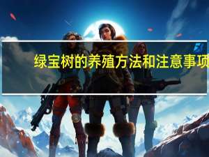 绿宝树的养殖方法和注意事项：夏季不要阳光直射