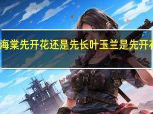 绿宝石海棠先开花还是先长叶 玉兰是先开花还是先长叶