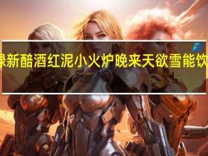 绿新醅酒红泥小火炉晚来天欲雪能饮一杯无（绿蚁新醅酒 红泥小火炉 晚来天欲雪 能饮一杯无 这诗的作者和解释_）