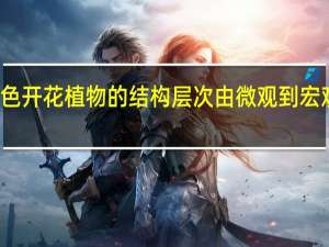 绿色开花植物的结构层次由微观到宏观依次为