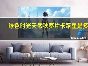 绿色时光 天然秋葵片卡路里是多少