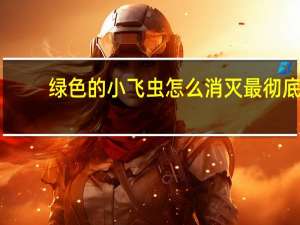 绿色的小飞虫怎么消灭最彻底