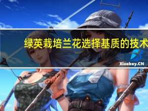 绿英栽培兰花选择基质的技术