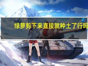 绿萝剪下来直接就种土了行吗