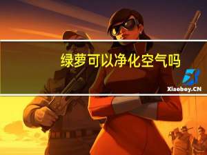 绿萝可以净化空气吗