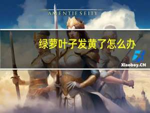 绿萝叶子发黄了怎么办