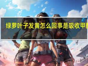 绿萝叶子发黄怎么回事是吸收甲醛吗