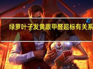 绿萝叶子发黄跟甲醛超标有关系吗