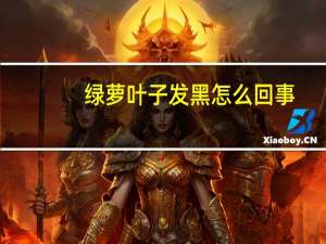 绿萝叶子发黑怎么回事