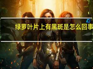 绿萝叶片上有黑斑是怎么回事