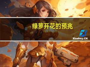 绿萝开花的预兆（绿萝开花）